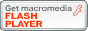 Macromedia Flash Player _E[hZ^[