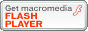 Macromedia Flash Player ダウンロードセンター
